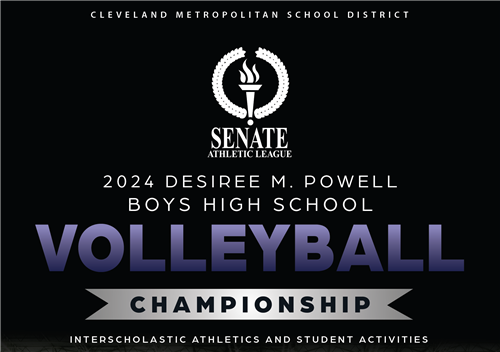 Volleyball Championship